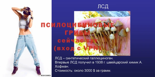 a pvp Бородино