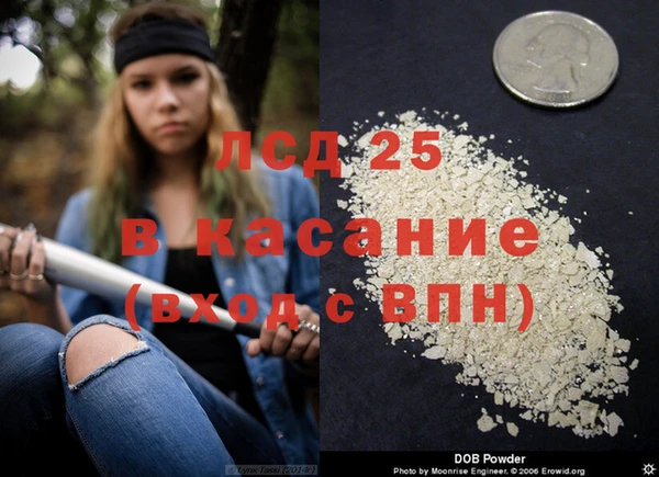 ГАЛЛЮЦИНОГЕННЫЕ ГРИБЫ Бронницы
