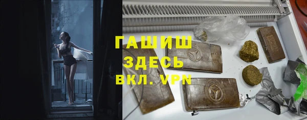 a pvp Бородино