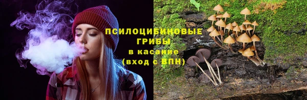 ГАЛЛЮЦИНОГЕННЫЕ ГРИБЫ Бронницы
