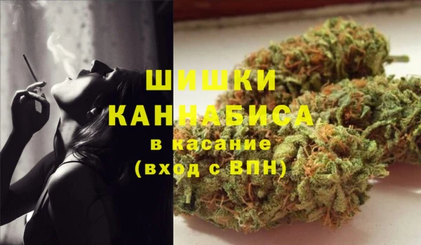ГАЛЛЮЦИНОГЕННЫЕ ГРИБЫ Бронницы